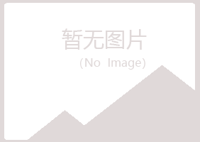 新城子区夏日能源有限公司